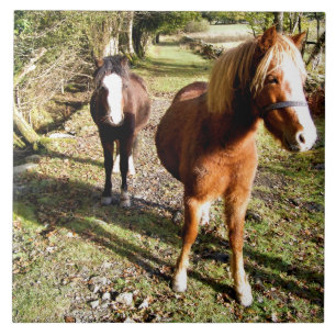 CARREAU EN CÉRAMIQUE CHEVAUX