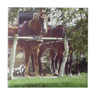 Carreau En Céramique Chevaux Amish au poteau d'attelage autour de pomme