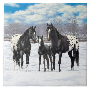 Carreau En Céramique Chevaux Appaloosa Noir En Neige