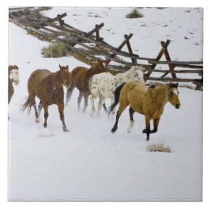 Carreau En Céramique Chevaux courant dans la neige