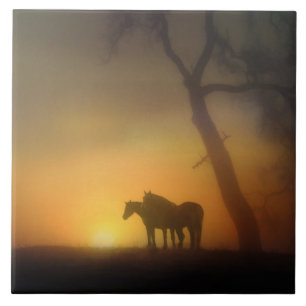 Carreau En Céramique Chevaux du lever du soleil et Oaktree