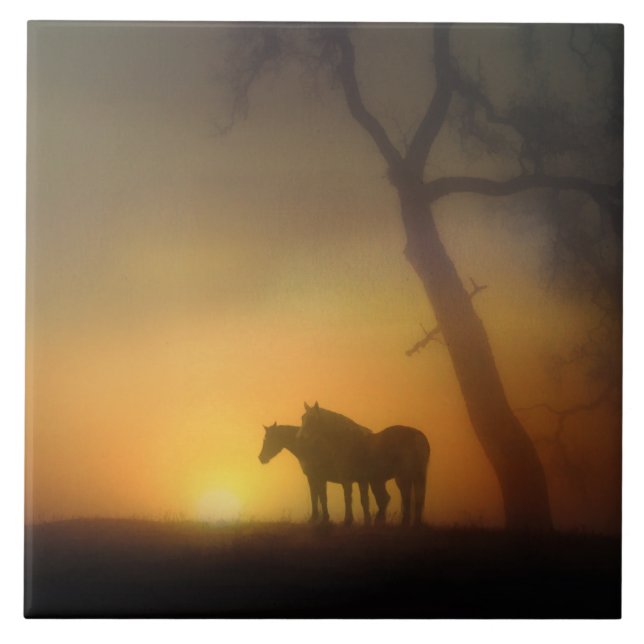 Carreau En Céramique Chevaux du lever du soleil et Oaktree (Devant)