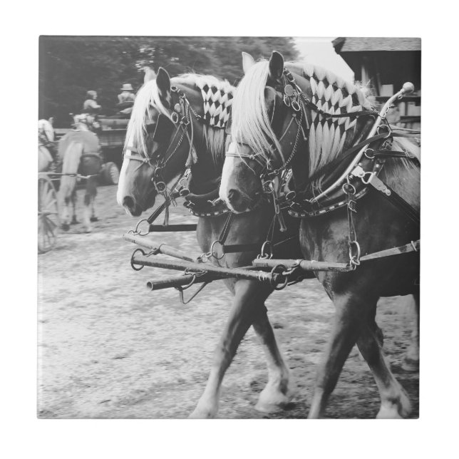 Carreau En Céramique Chevaux en noir et blanc (Devant)