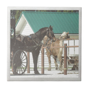 Carreau En Céramique Chevaux Kalona Amish