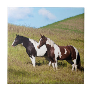 Carreau En Céramique Chevaux sur le flanc de colline