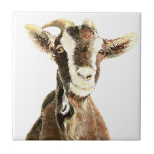Carreau En Céramique Chèvre Vieille Mignonne, Humour d'Animaux de Ferme