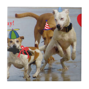 Carreau En Céramique chien d'anniversaire heureux
