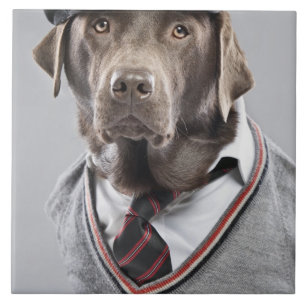 Carreau En Céramique Chien dans le chandail et le casquette