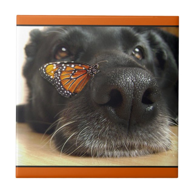 Carreau En Céramique Chien noir de laboratoire avec le papillon (Devant)