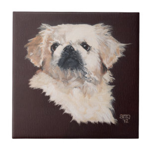 Carreau En Céramique Chien pekingese blanc