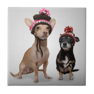 Carreau En Céramique Chiens de chiwawa avec la photo de casquettes