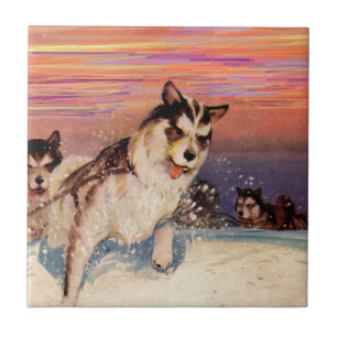 Carreau En Céramique Chiens de traîneau husky sibériens des années 1940