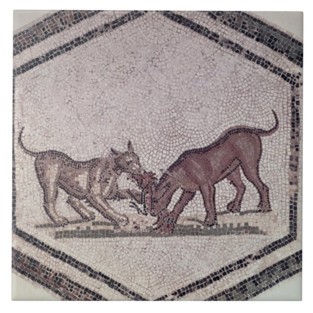 Carreau En Céramique Chiens luttant pour un oiseau, romain, 2ème-3ème (Devant)