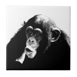 Carreau En Céramique Chimpanzé noir blanc