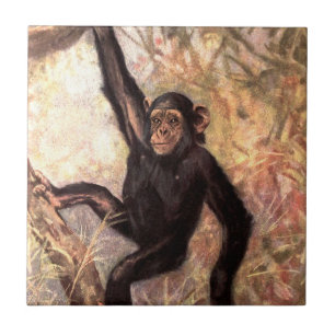 Carreau En Céramique chimpanzeehangingintree002_original