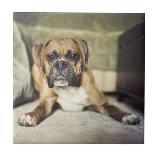 Carreau En Céramique Chiot de boxeur de faon (Devant)