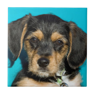 Carreau En Céramique Chiot mignon de Borkie