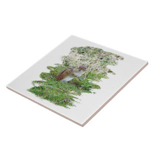 Carreau En Céramique Chipmunk oriental