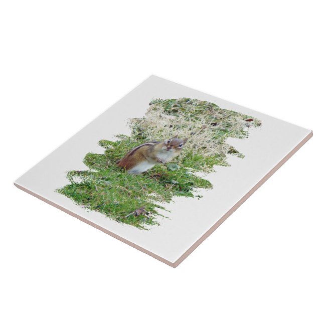 Carreau En Céramique Chipmunk oriental (Côté)