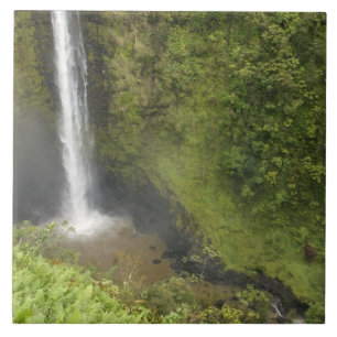 Carreau En Céramique Chutes Akaka, côte Hamakua, île d'Hawaï,
