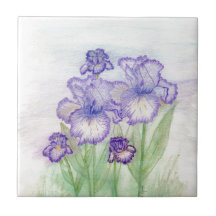 Cirque d'automne et iris d'art déco