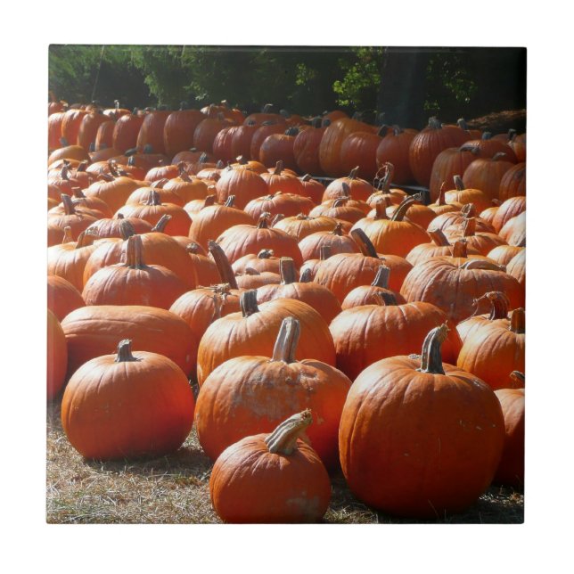 Carreau En Céramique Citrouille Patch Automne Harvest Photographie (Devant)