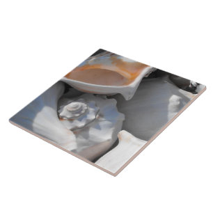 Carreau En Céramique Closeuse Coques de conque