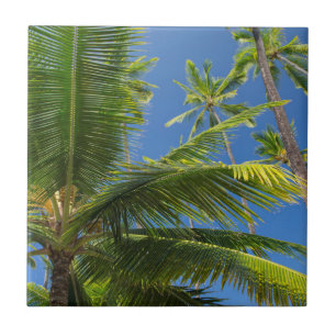 Carreau En Céramique Cocotiers, Pu'uhonua o Honaunau 1