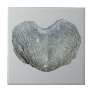 Carreau En Céramique Coeur de Brachiopod