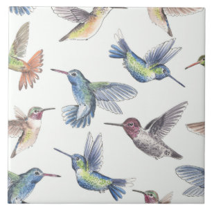 Carreau En Céramique Colibri