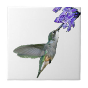 Carreau En Céramique Colibri avec la lavande de Mona