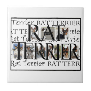 Carreau En Céramique Collage de Rat terrier