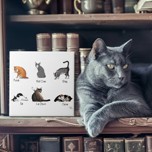 Carreau En Céramique Commandes Cat