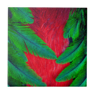 Carreau En Céramique Conception de plume de Quetzal resplendissant