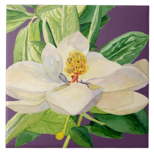 Carreau En Céramique Conception décorative florale de tuile d'art de