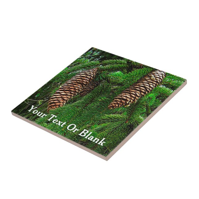 Carreau En Céramique Cônes Et Aiguilles (Côté)