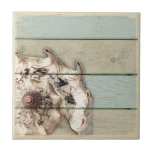 Carreau En Céramique Conque de couronne