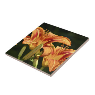 Carreau En Céramique Considérons Les Lilies Du Terrain