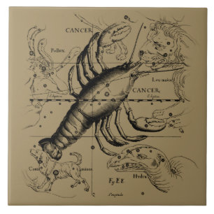 Carreau En Céramique Constellation du cancer Hevelius 1690 Engaving