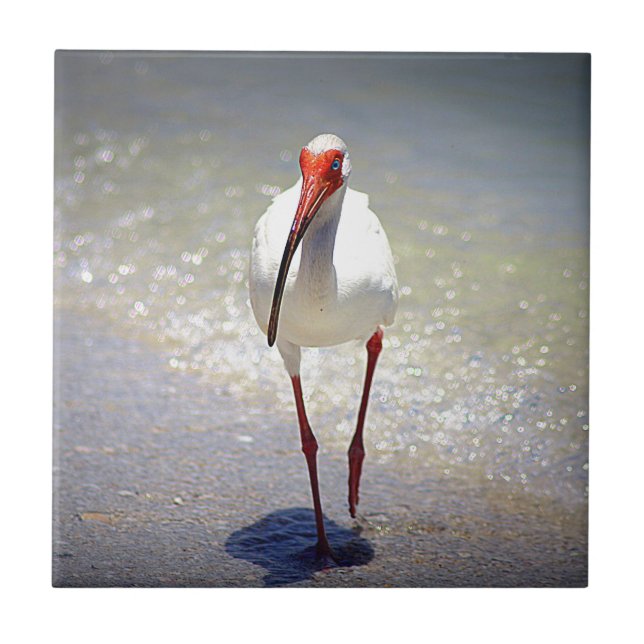 Carreau En Céramique Contrefiche blanche d'IBIS (Devant)