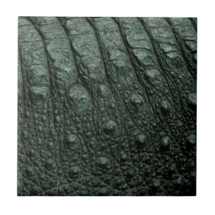 Carreau En Céramique Copie d'alligator