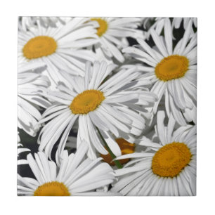 Carreau En Céramique Copie de fleur de marguerite assez blanche
