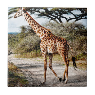Carreau En Céramique Copie de motif de l'Afrique d'animal sauvage de