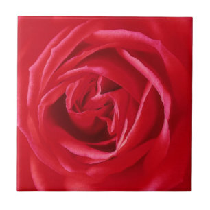 Carreau En Céramique Copie de rose rouge