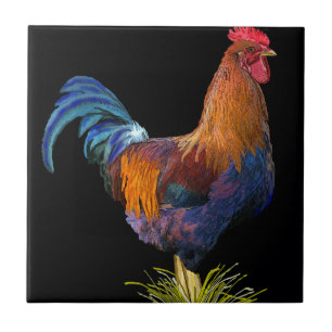 Carreau En Céramique Coq