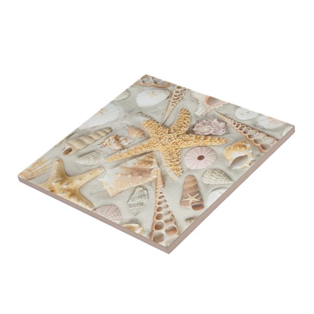 Carreau En Céramique Coques de mer (Starfish Seashells Cermic Tile!)