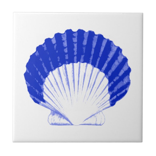 Carreau En Céramique Coquillage - bleu cobalt et blanc (Devant)