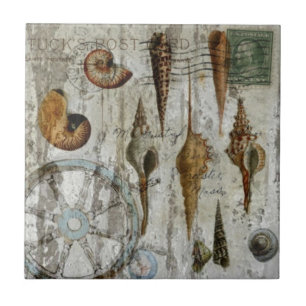 Carreau En Céramique coquillage chic côtier blanchi rustique