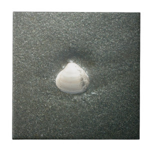 Carreau En Céramique Coquillage dans le sable : Un souvenir salé