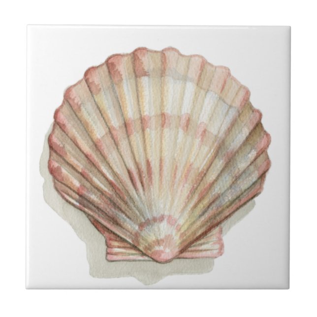 Carreau En Céramique Coquillage rose et crème (Devant)